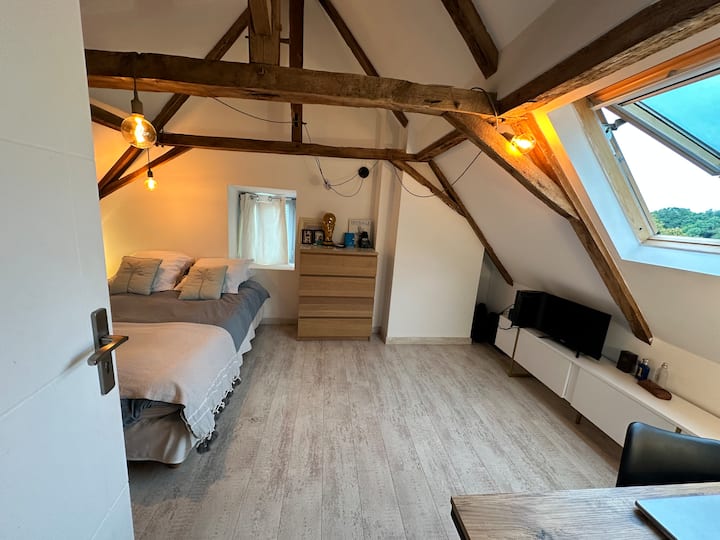 Habitación 4