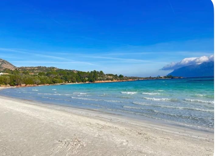 Casa Con Piscina E Giardinetto Pet Friendly - Olbia