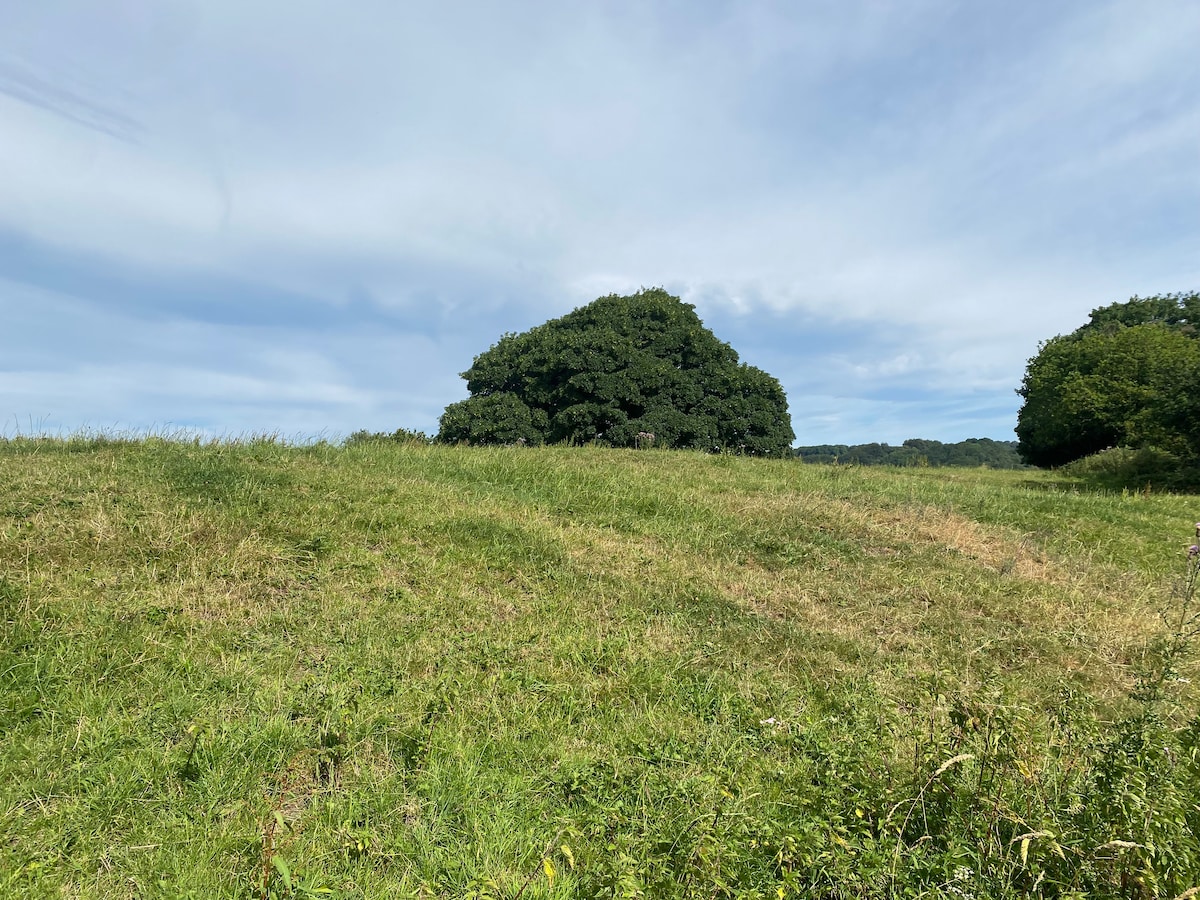 Air conditioned cosy cabin retreat in Derbyshire – photo 17