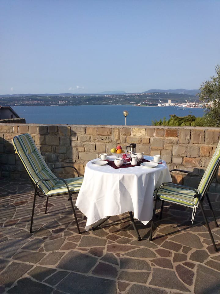 Olea Mare Apartma - Koper