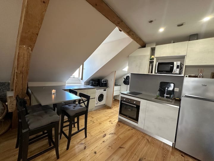 Appartement Atypique Sous Les Combles - Aix-les-Bains