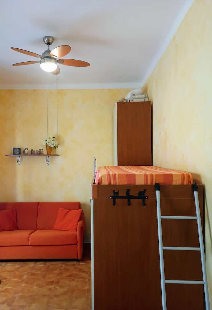 Compact Light House - Diano Marina