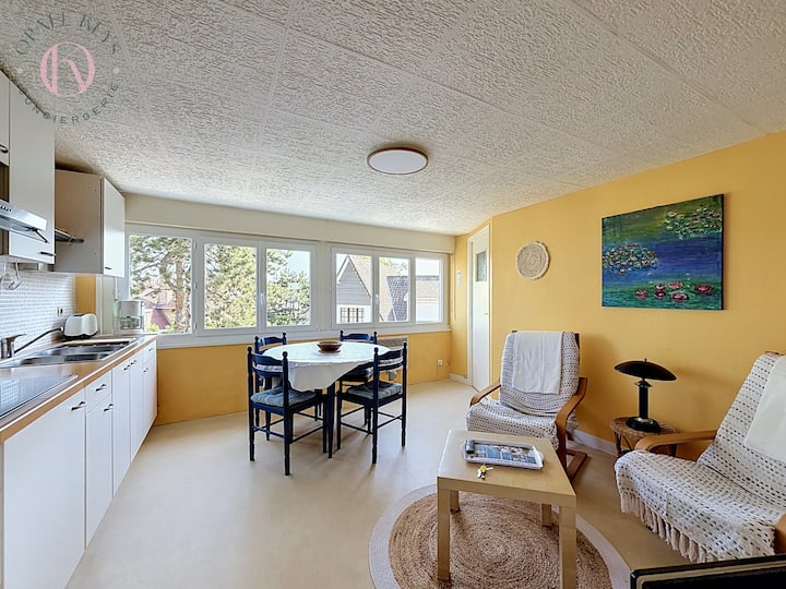 Le Nid Jaune - Appartement 2ch - Bray-Dunes