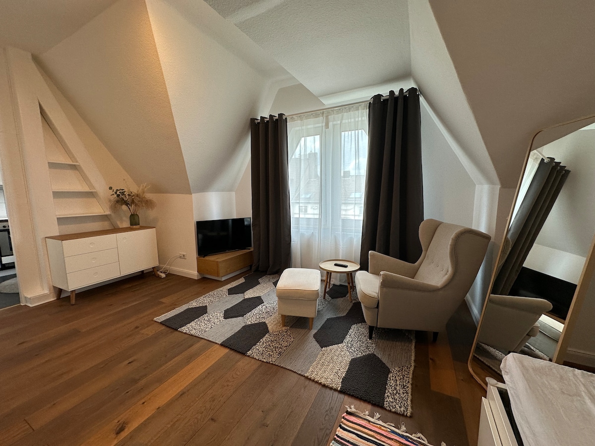 Cozy 1 bedroom apartment, excellent equipment
