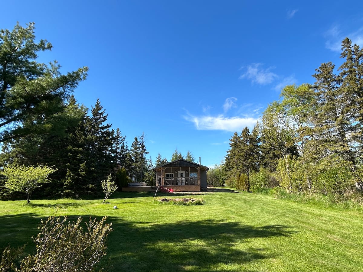 The cottage tucked into the trees