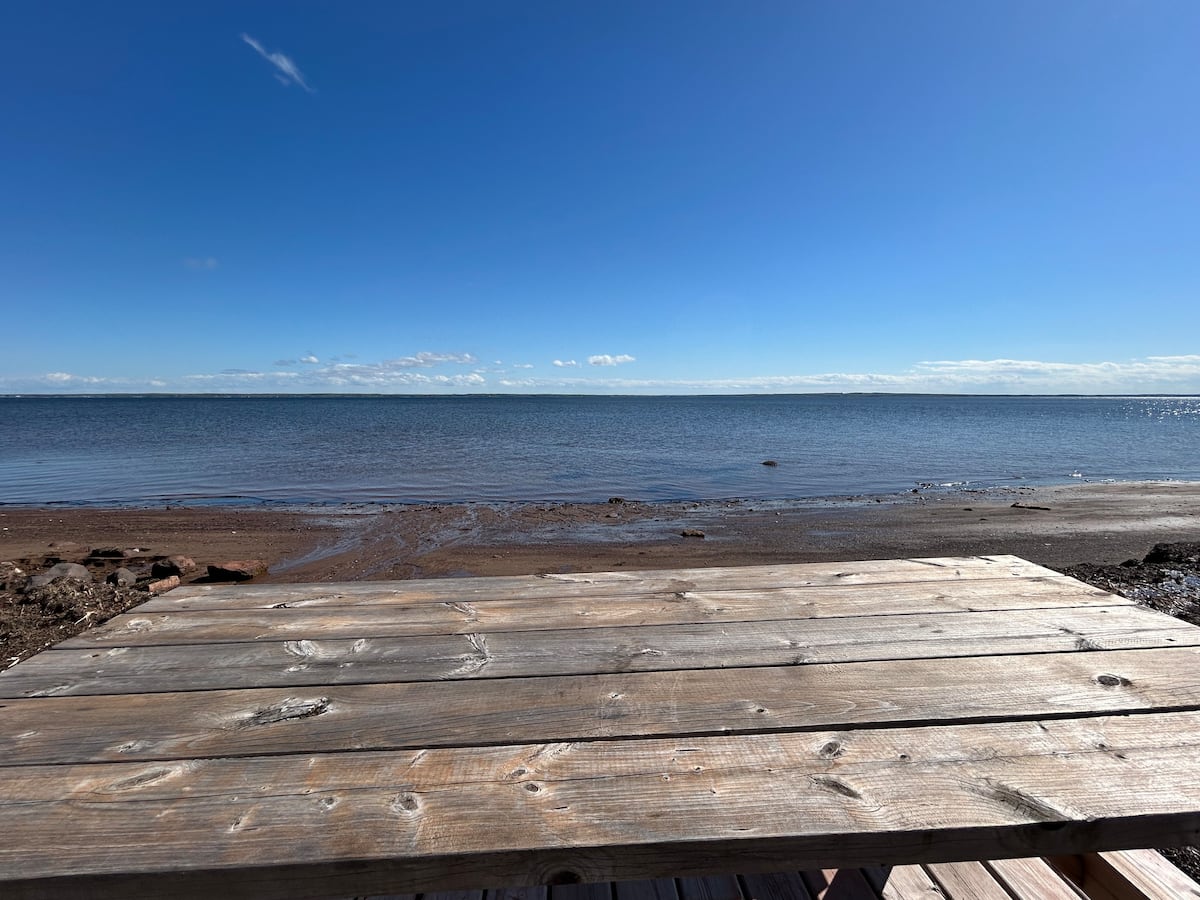 Boardwalk edge and the bay