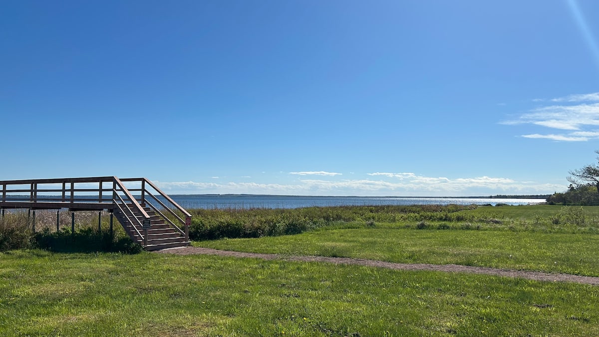 Boardwalk crossing to the shore