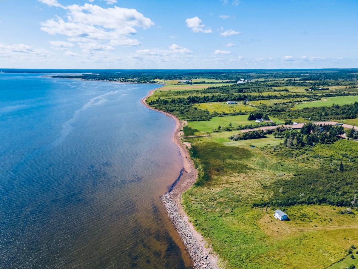 Aerial view of the shoreline