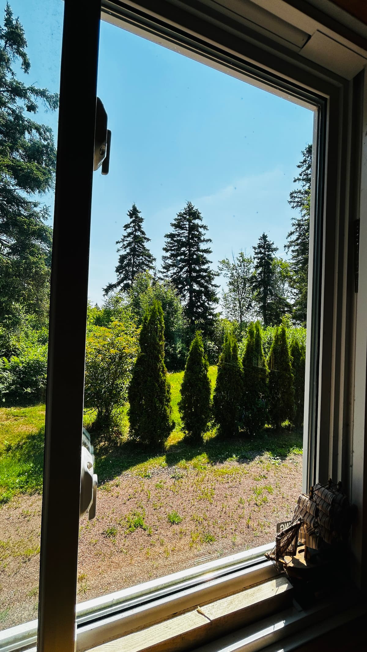 Garden view from the living room window