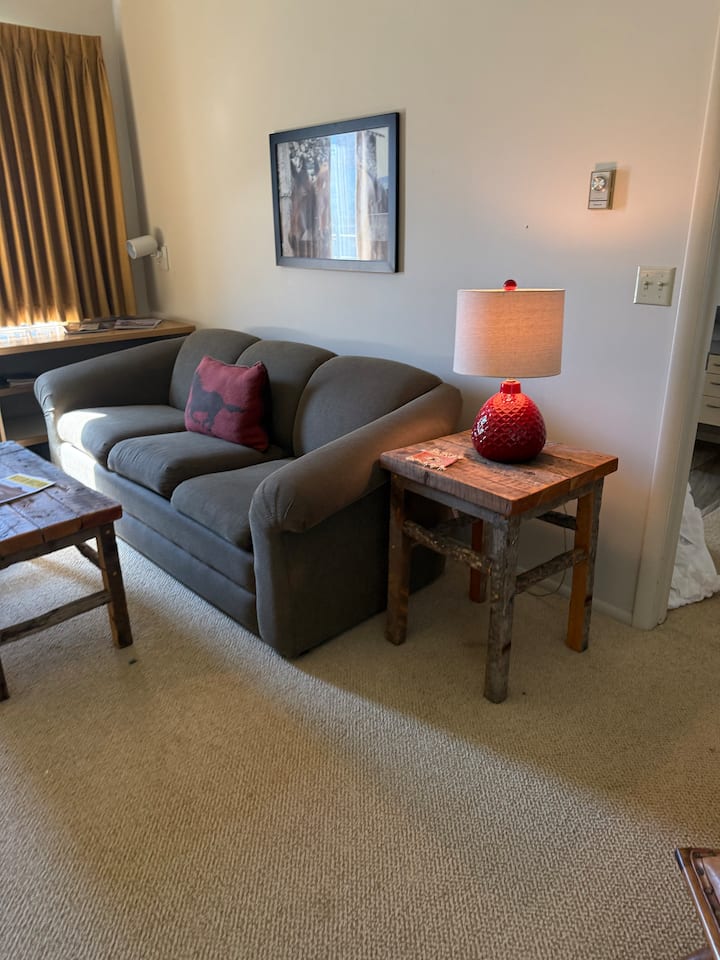 Queen size pullout sofa, South Wing