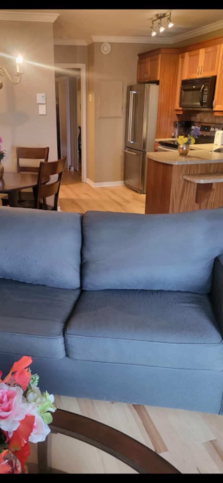 Conviniently Located St.sauveur 1 Bedroom Aprt. - Saint-Sauveur
