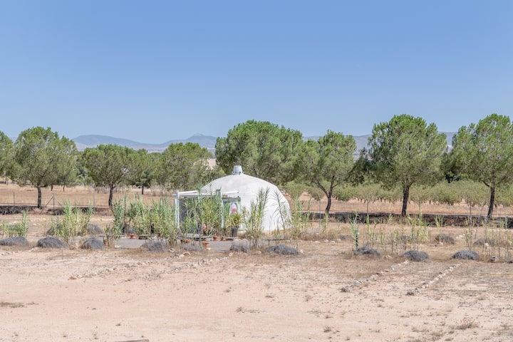 Domo Glamping Villena Para Pareja - Sax