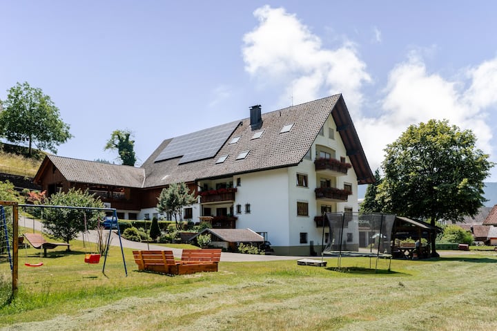 Ferienwohnung Bergfranzenhof - Oppenau, Deutschland