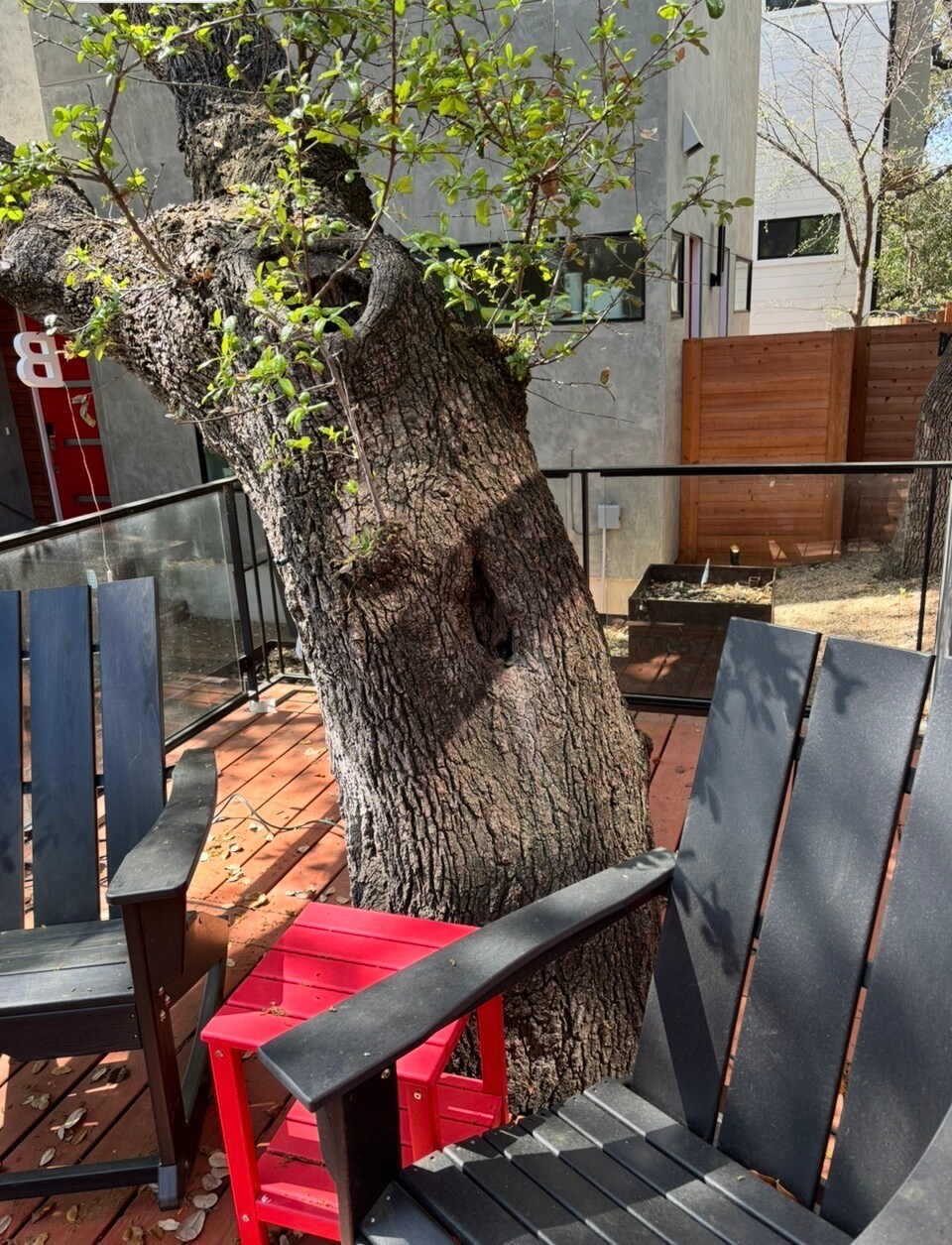 South Congress Retreat w/ Hot Tub + Dog Friendly