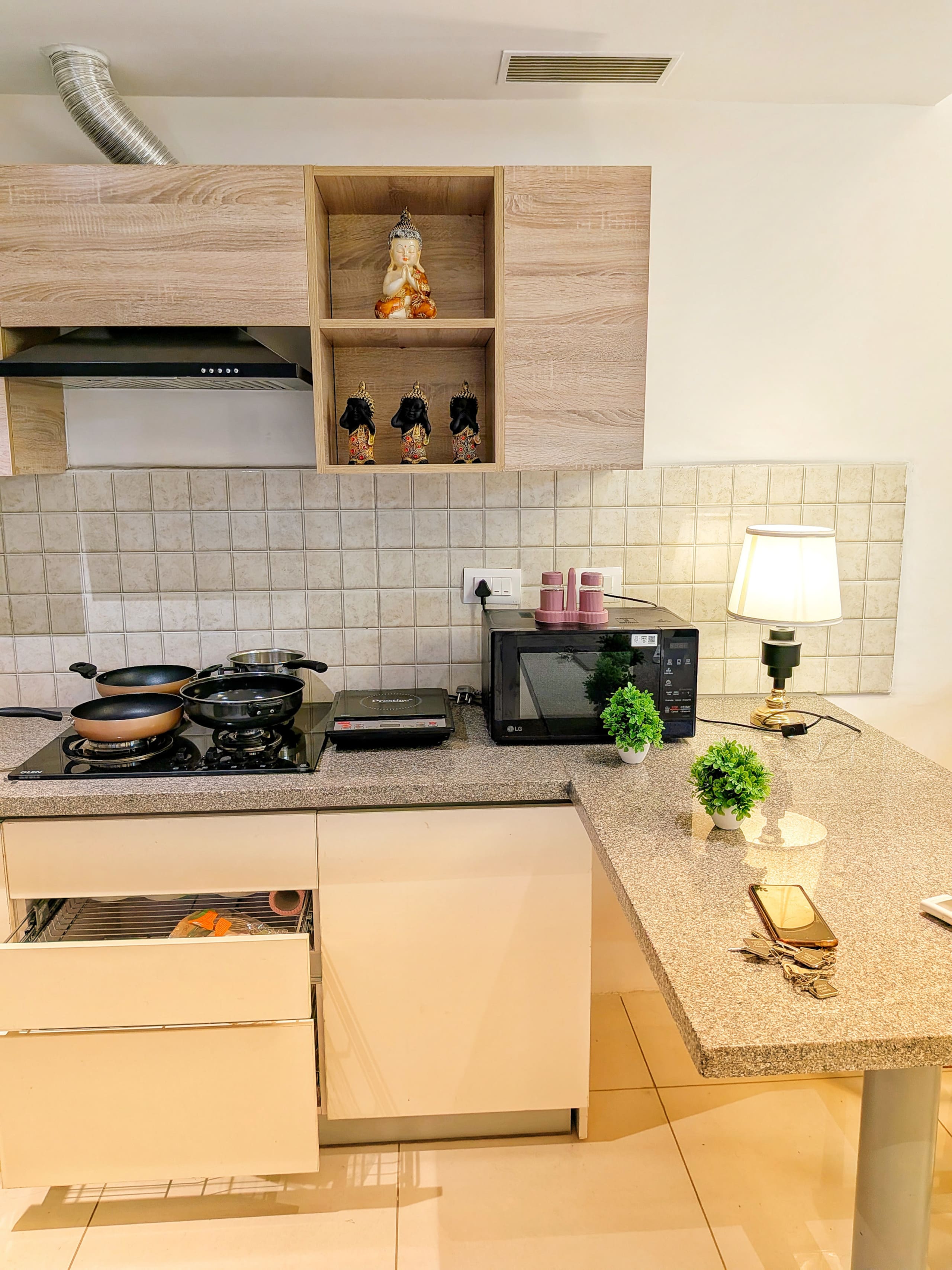 Kitchen counter with hob, microwave, plant and table lamp