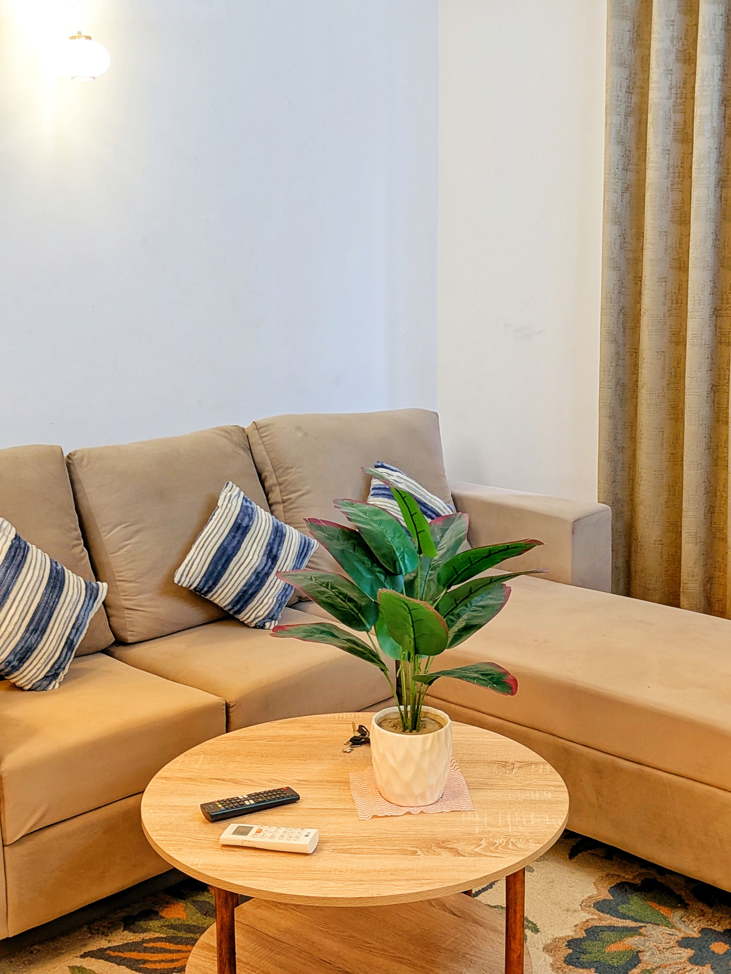 L-shaped sofa with scatter cushions and a plant on the round coffee table