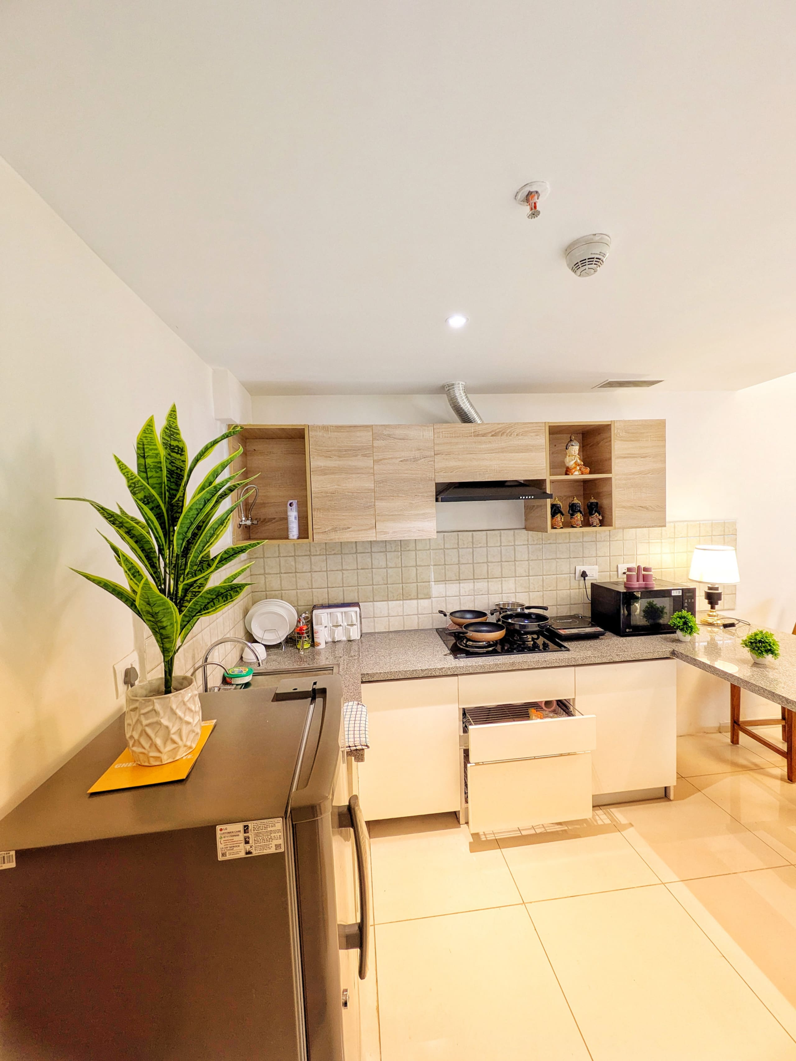 Kitchen with open shelving and a potted plant