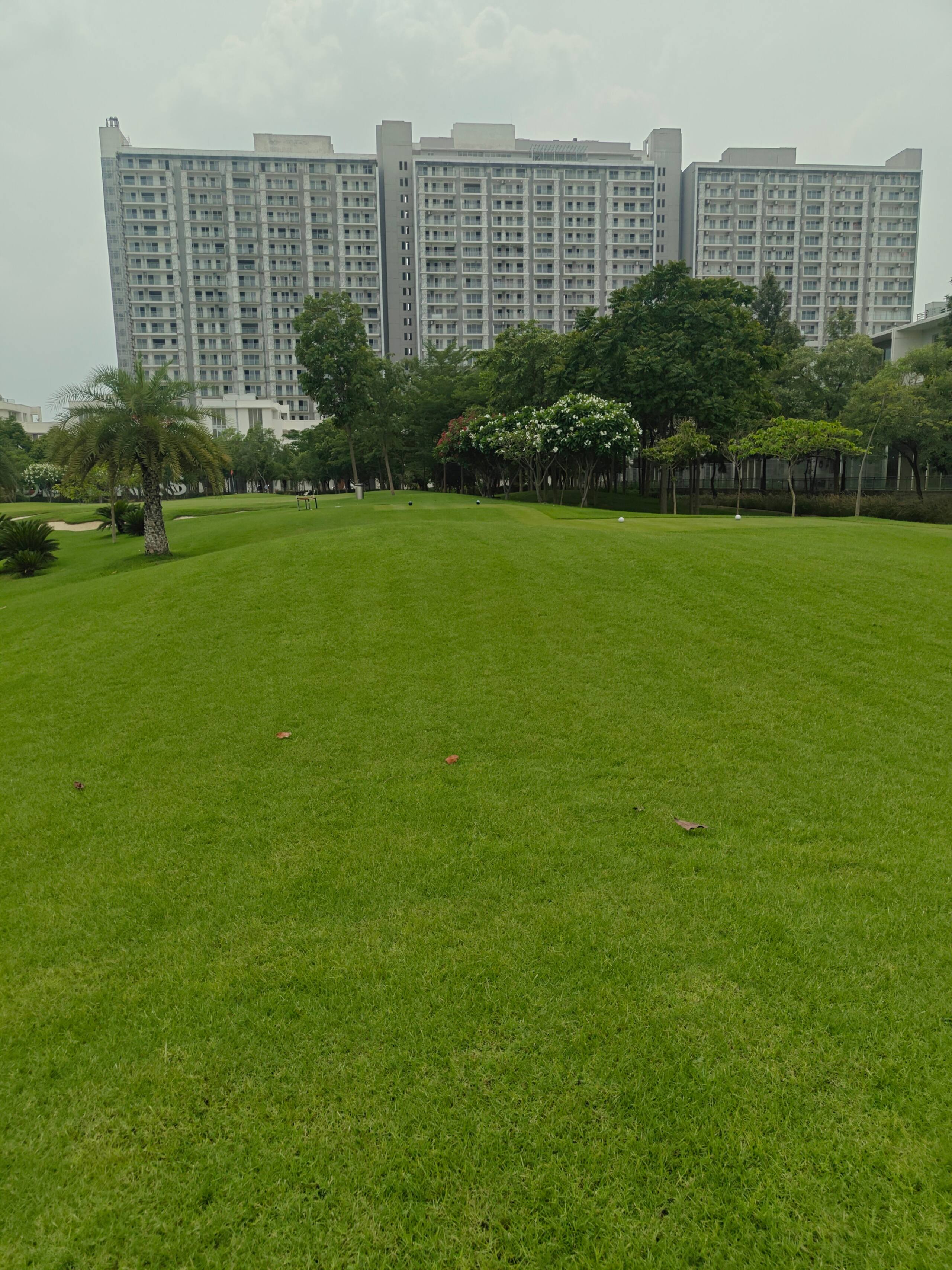 Manicured lawn with towers beyond