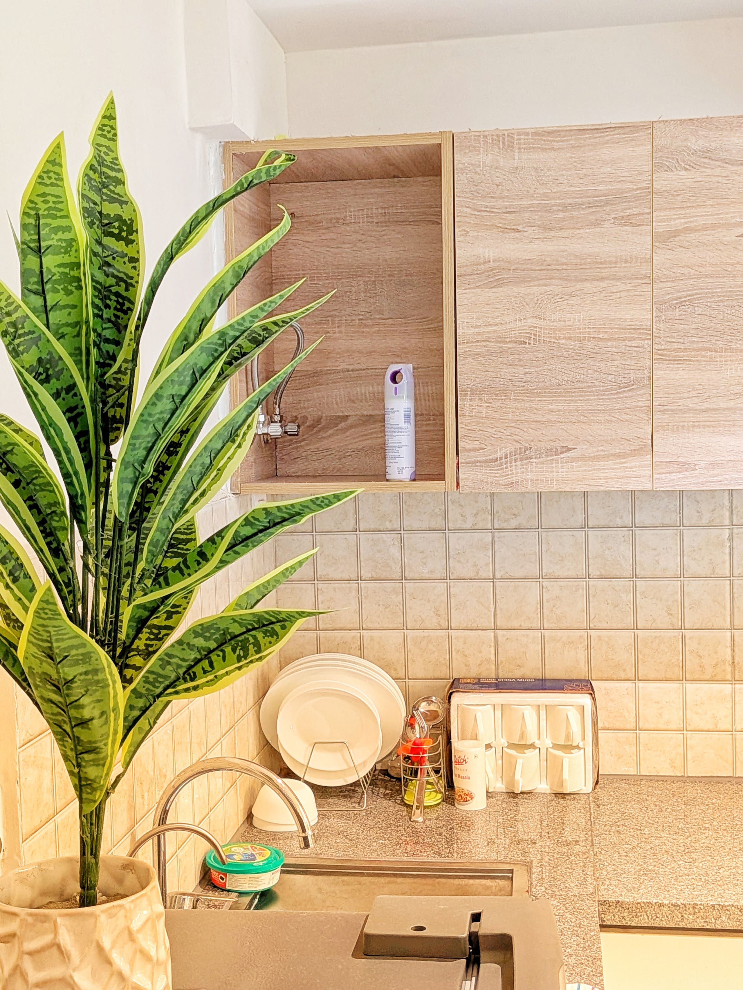 Kitchen corner with plant, dish rack and crockery