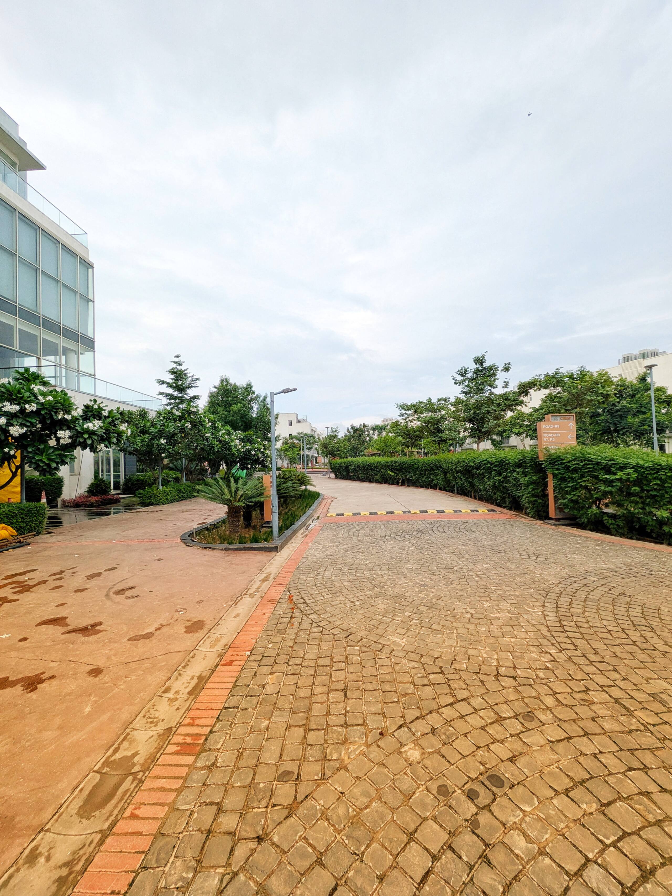 Pathway through the greenery