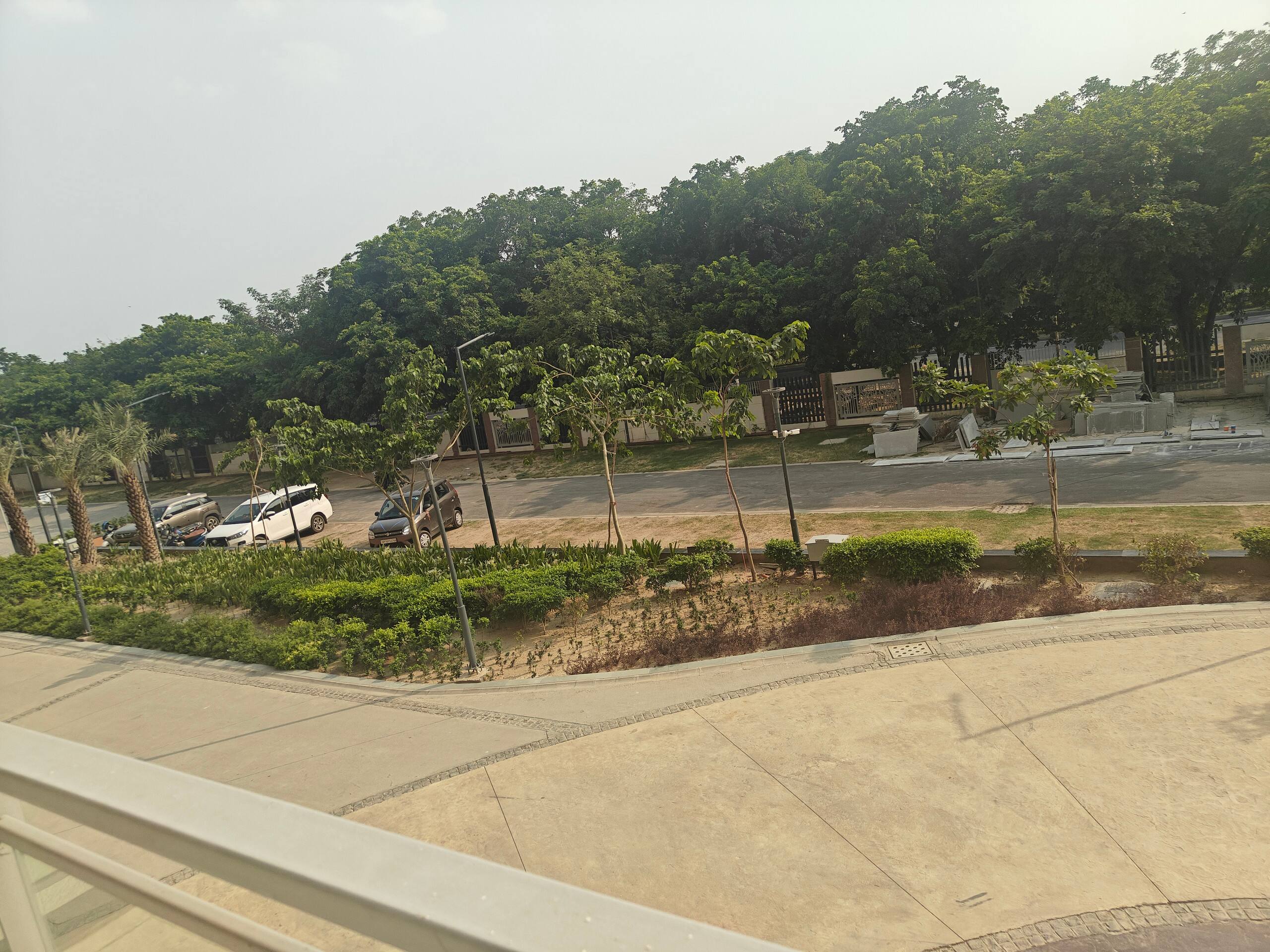 Treetops and road from a high floor