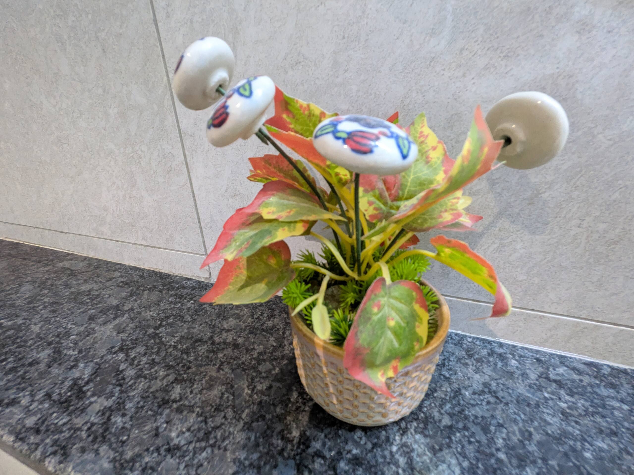 Decorative potted plant on the granite counter