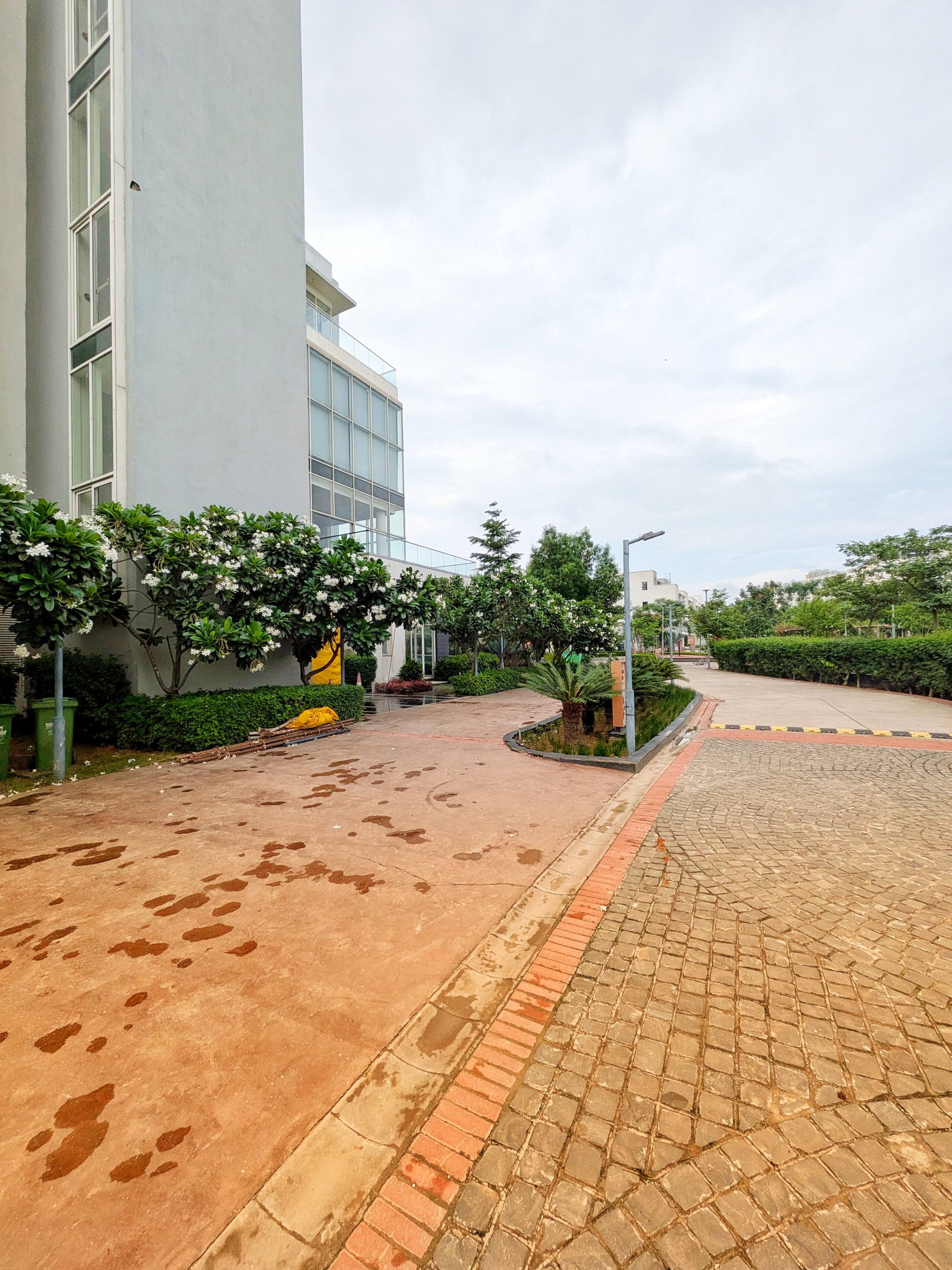 Paved pathway lined with trees