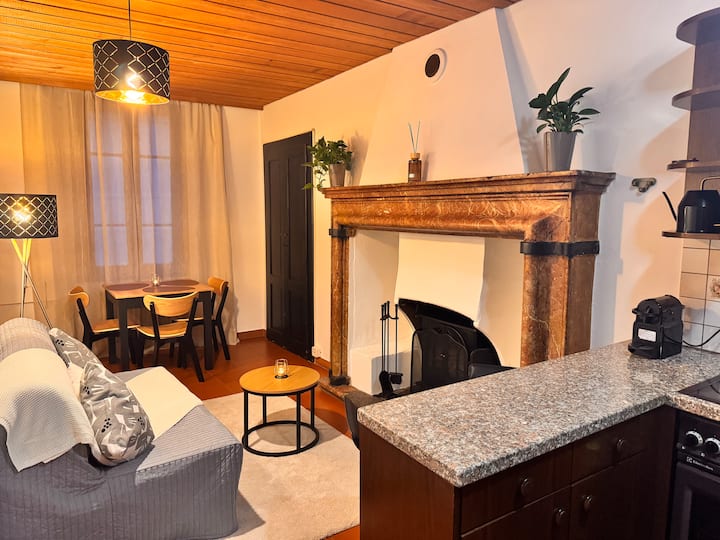 Romantic Lake View Apartment In Lugano - Lugano