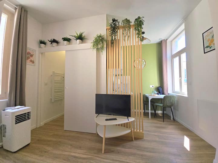 Studio Traversant Et Lumineux Hyper Centre Saumur - Saumur