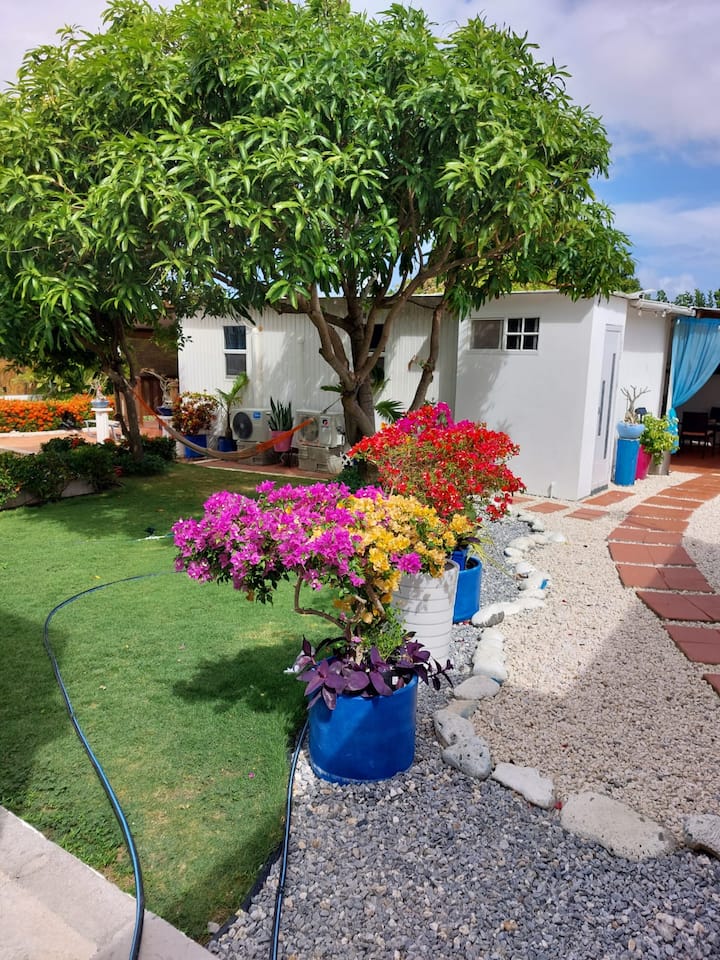 Cozy Cottage In The Middle Of The Island - Aruba