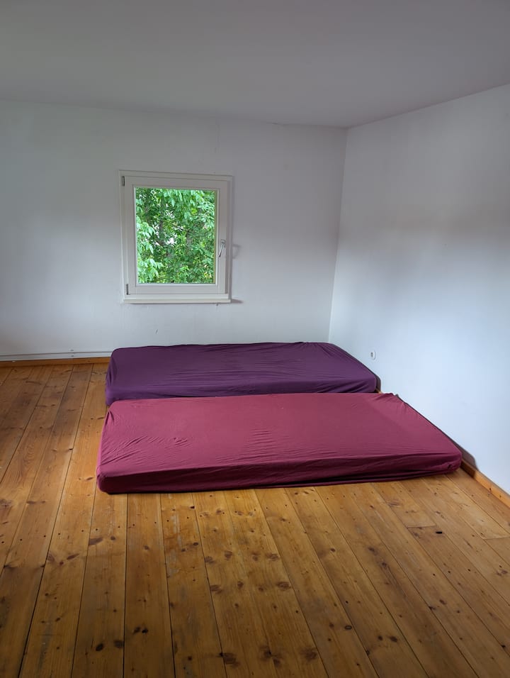 Habitación 1