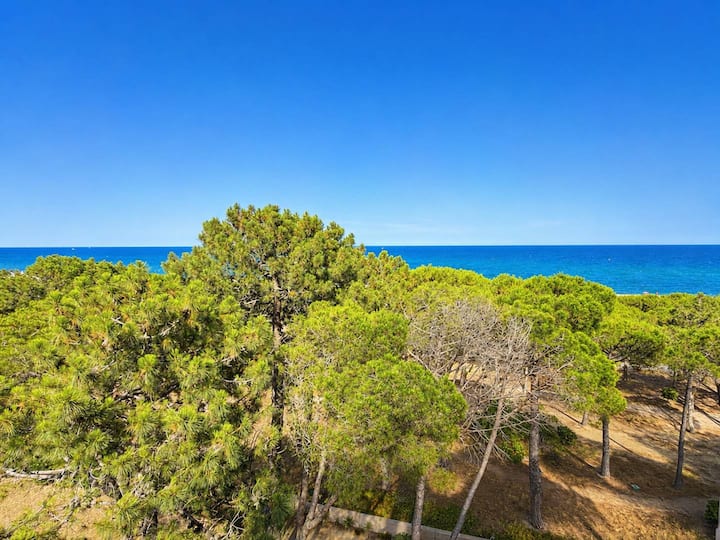 T2 Charmant, Vue Mer - 2 Pers. - Collioure