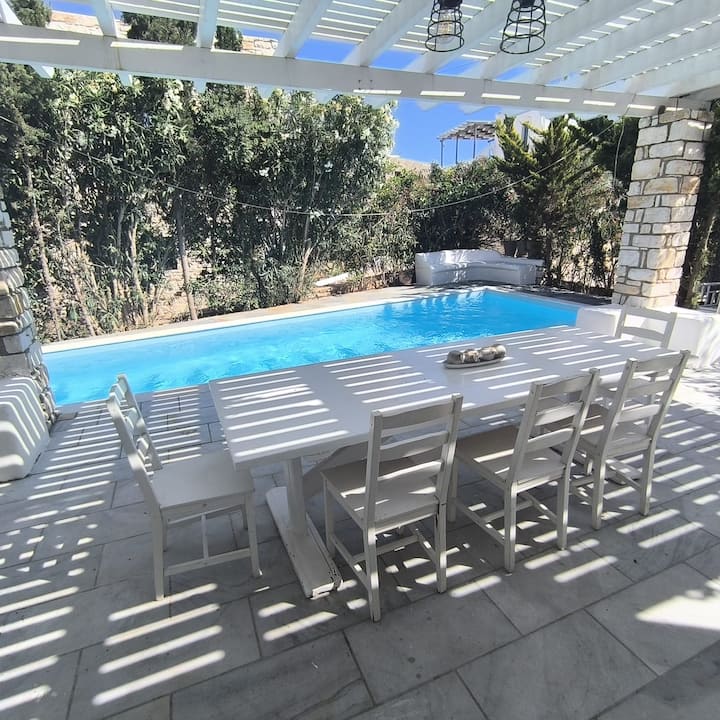 House With Private Pool - Paros