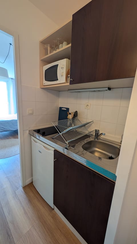 Propriété Airbnb réussie: Studio Adagio Hotel Illkirch Strasbourg parking à Illkirch Graffenstaden