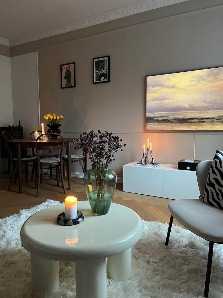 Koselig Leilighet Sentralt I Oslo - Oslo