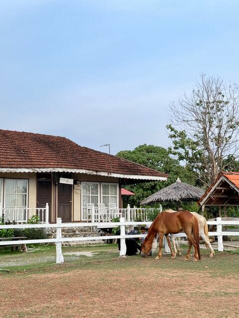 Chalet D'Solo (Room 2).