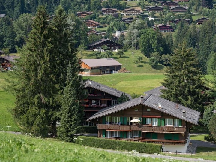 Les Silenes Appartement/fewo, Dusche Oder Bad, Wc - Gstaad