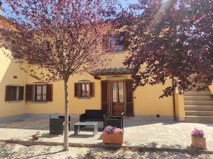 Appartamento Sotto Gli Ulivi - Anghiari
