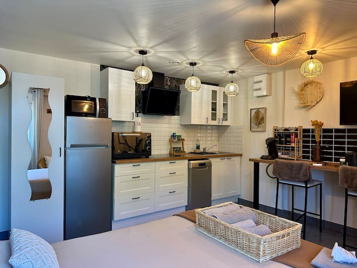 ÉLégant Studio Climatisé Ambiance Exotique - Céret