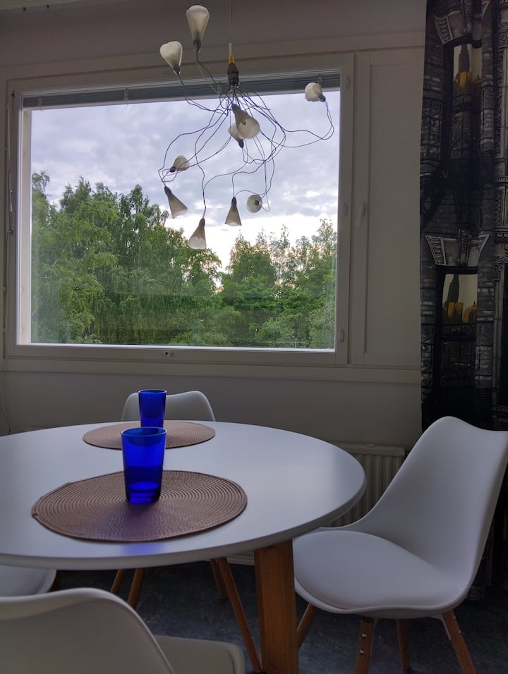 Tilava Kaksio Hyvien Liikenneyhteyksien Varrella - Tampere
