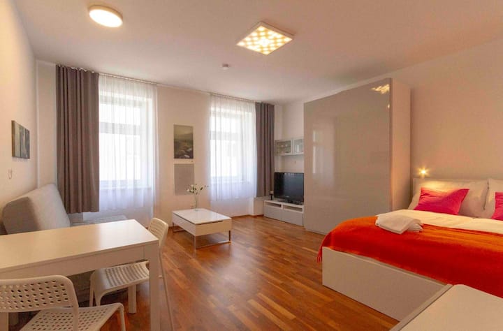 Renoviertes, Gemütliches Appartement - Wien
