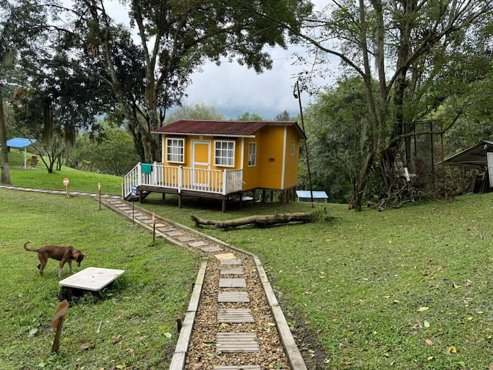 Paz Y Tranquilidad Que Mereces - La Vega