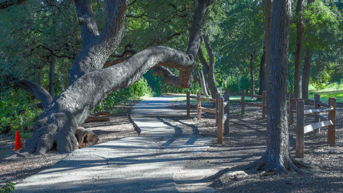 Walk to UT*parking*West Campus*Close to Downtown