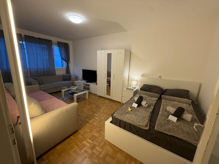 Studio Cosy Au Cœur De Genève Proche Du Lac-gare - Geneva