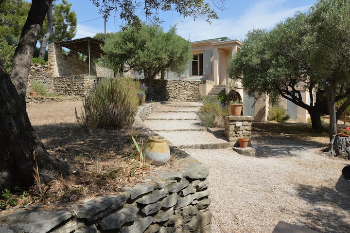 Bas Villa Provençale Jardin Prox Plage 8 Perst5 - La Ciotat