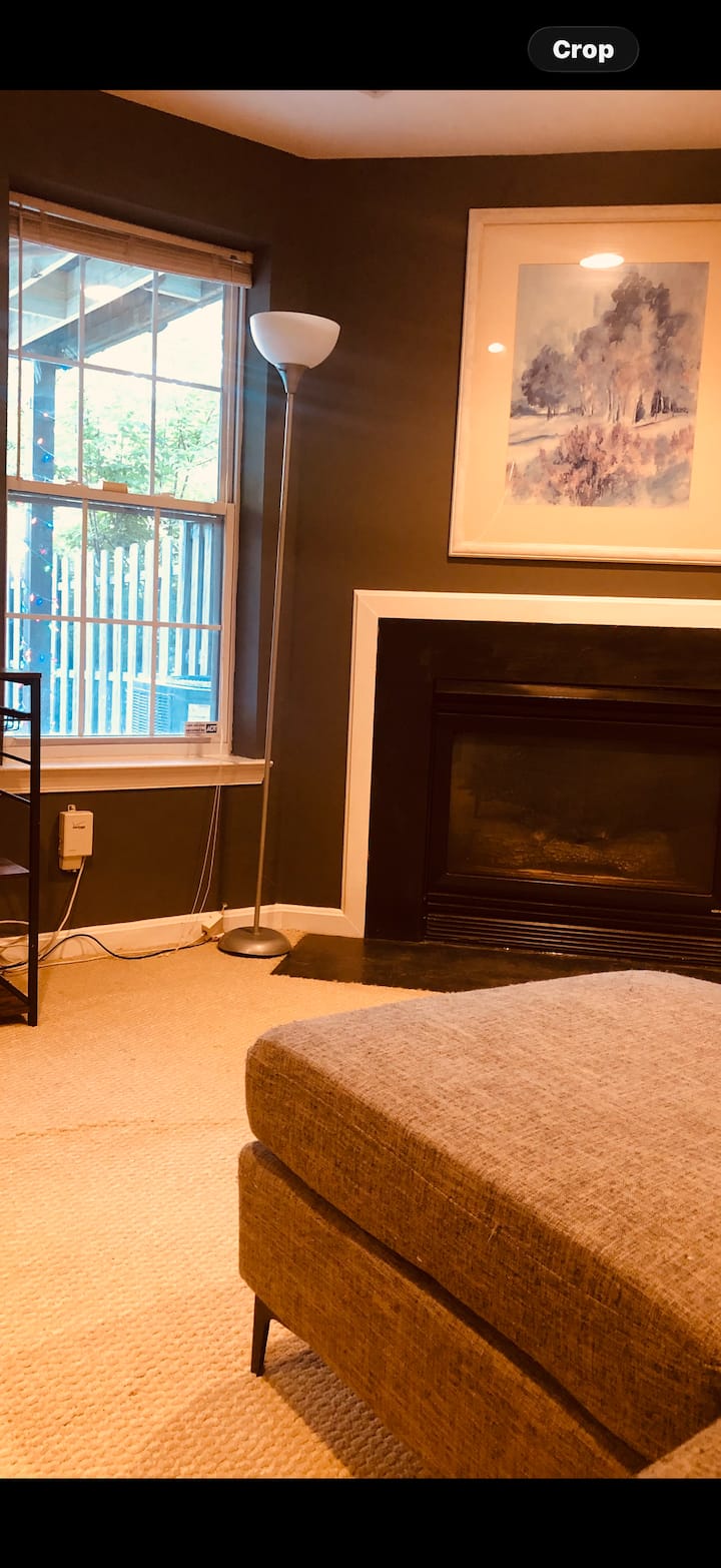 Fully Furnished 1 Bed Room Basement For Rent - Woodbridge, VA