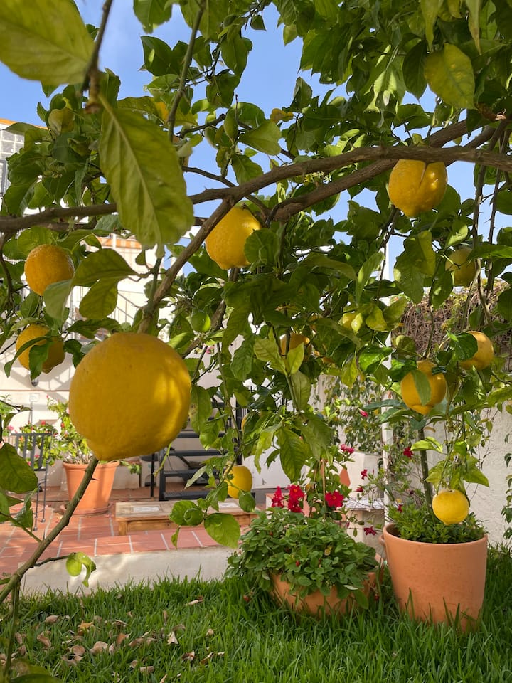 Apartment Limones - Frigiliana