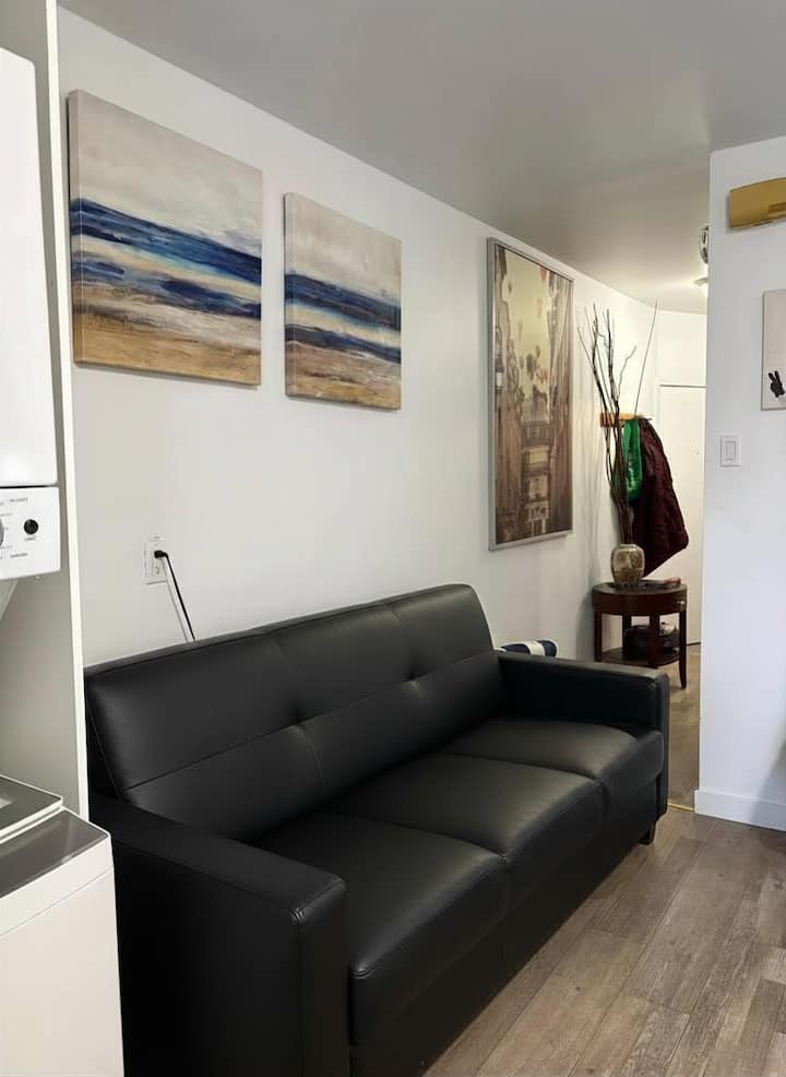 Jolie Appartement Deux Chambres, Métro Préfontaine - Montréal