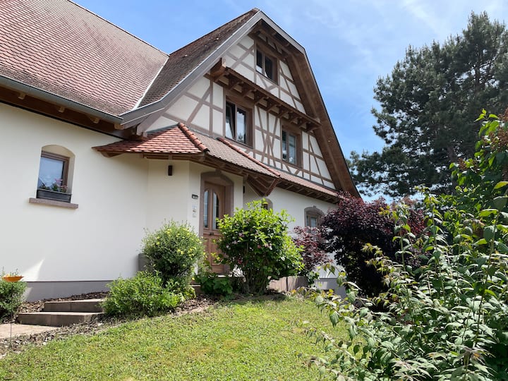 Chambre D'hôtes Alsace
Marthe - Molsheim