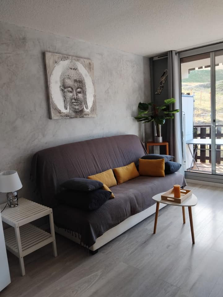 Studio Au Pied Des Pistes - Selonnet